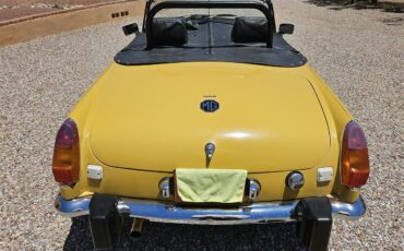 Mg-B-1974-Harvast-Gold-Black-5