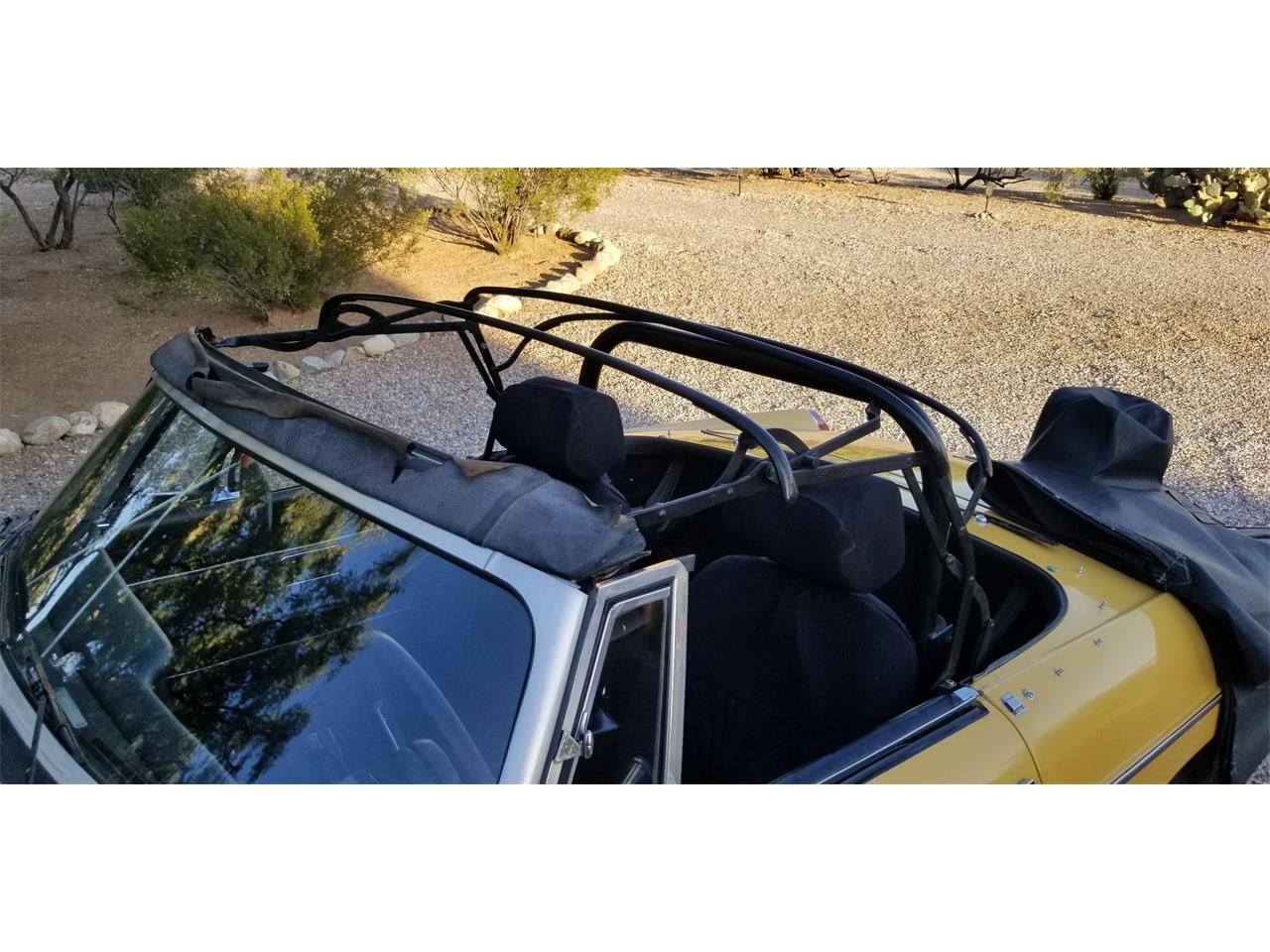 Mg-B-1974-Harvast-Gold-Black-8
