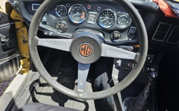 Mg-B-1974-Harvast-Gold-Black-9