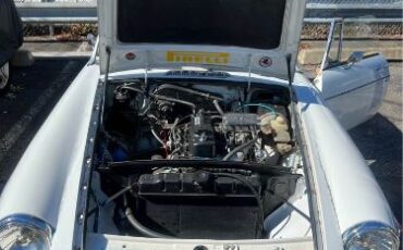 Mg-B-1975-White-Beige