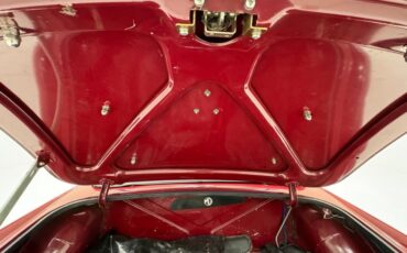 Mg-B-1977-Damask-Red-Black-35