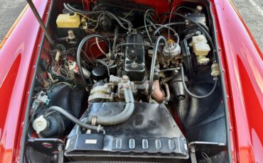 Mg-B-1977-Red-Black-10