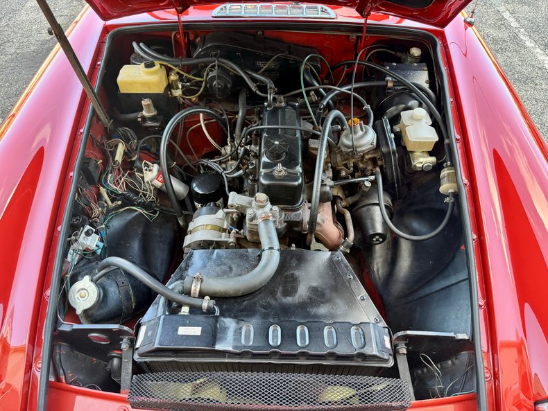 Mg-B-1977-Red-Black-10