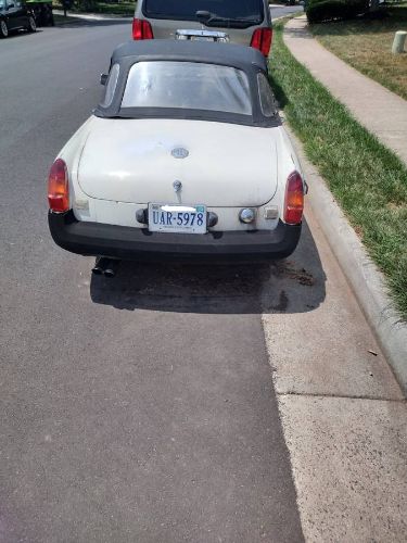 Mg-B-1977-White-3
