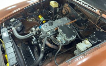 Mg-B-1978-Russet-Brown-Autumn-Leaf-1