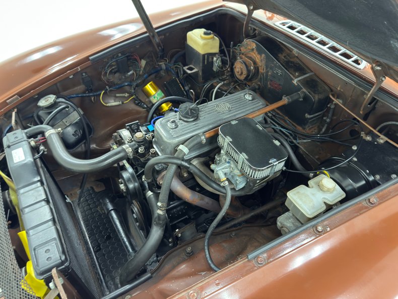 Mg-B-1978-Russet-Brown-Autumn-Leaf-1