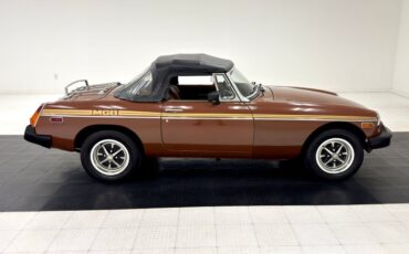 Mg-B-1978-Russet-Brown-Autumn-Leaf-10