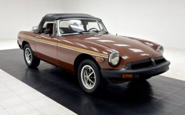 Mg-B-1978-Russet-Brown-Autumn-Leaf-11
