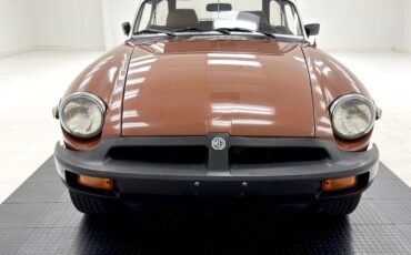 Mg-B-1978-Russet-Brown-Autumn-Leaf-12