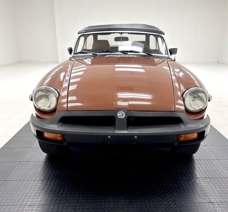 Mg-B-1978-Russet-Brown-Autumn-Leaf-12