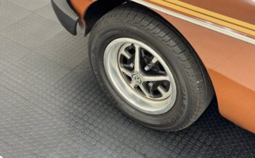 Mg-B-1978-Russet-Brown-Autumn-Leaf-13