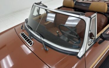 Mg-B-1978-Russet-Brown-Autumn-Leaf-14