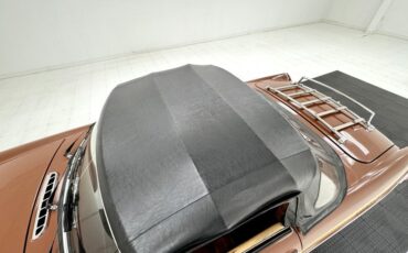 Mg-B-1978-Russet-Brown-Autumn-Leaf-15