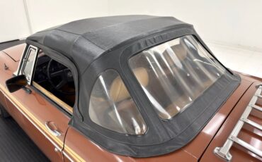 Mg-B-1978-Russet-Brown-Autumn-Leaf-16