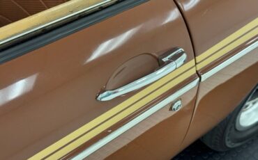 Mg-B-1978-Russet-Brown-Autumn-Leaf-18