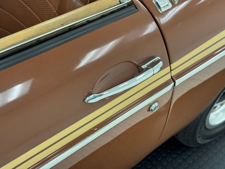 Mg-B-1978-Russet-Brown-Autumn-Leaf-18