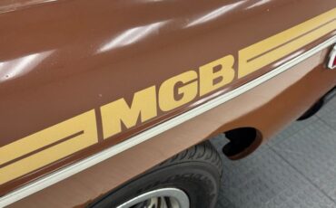Mg-B-1978-Russet-Brown-Autumn-Leaf-19