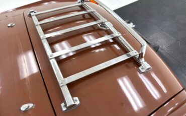 Mg-B-1978-Russet-Brown-Autumn-Leaf-20