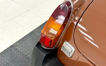 Mg-B-1978-Russet-Brown-Autumn-Leaf-21