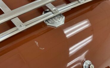 Mg-B-1978-Russet-Brown-Autumn-Leaf-22
