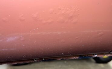 Mg-B-1978-Russet-Brown-Autumn-Leaf-26