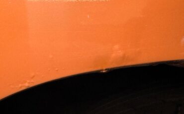 Mg-B-1978-Russet-Brown-Autumn-Leaf-28