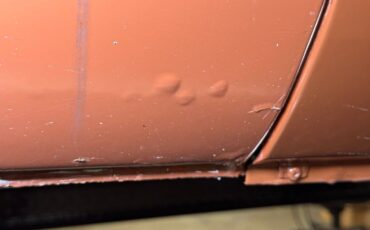 Mg-B-1978-Russet-Brown-Autumn-Leaf-30