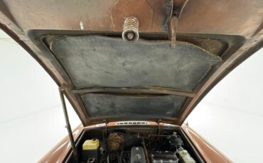 Mg-B-1978-Russet-Brown-Autumn-Leaf-31