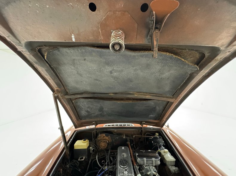 Mg-B-1978-Russet-Brown-Autumn-Leaf-31
