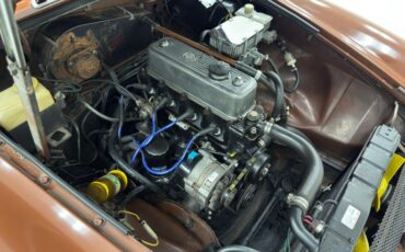 Mg-B-1978-Russet-Brown-Autumn-Leaf-32