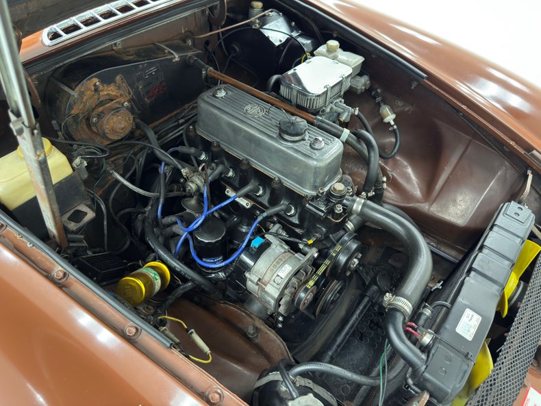 Mg-B-1978-Russet-Brown-Autumn-Leaf-32