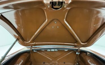 Mg-B-1978-Russet-Brown-Autumn-Leaf-33
