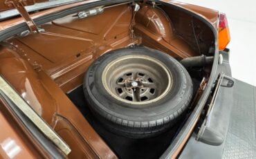 Mg-B-1978-Russet-Brown-Autumn-Leaf-34