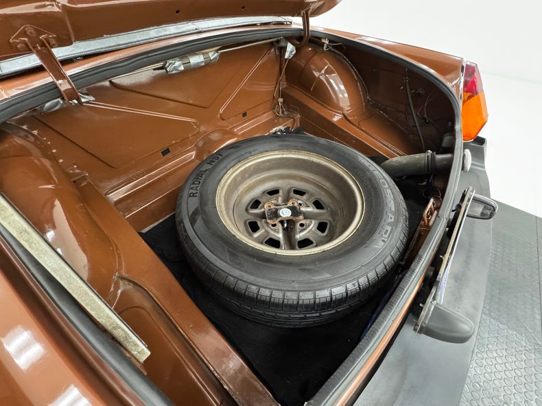 Mg-B-1978-Russet-Brown-Autumn-Leaf-34