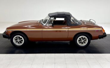 Mg-B-1978-Russet-Brown-Autumn-Leaf-4