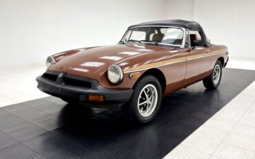 Mg-B-1978-Russet-Brown-Autumn-Leaf-42