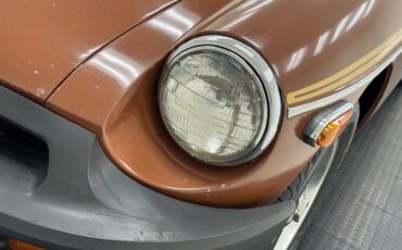 Mg-B-1978-Russet-Brown-Autumn-Leaf-43