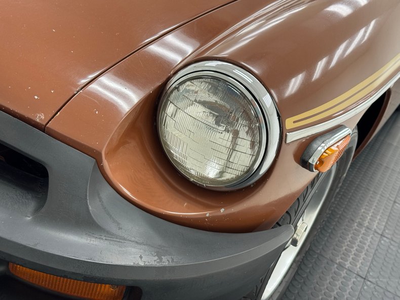 Mg-B-1978-Russet-Brown-Autumn-Leaf-43