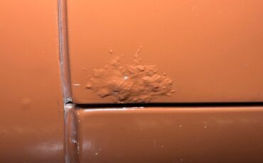 Mg-B-1978-Russet-Brown-Autumn-Leaf-45