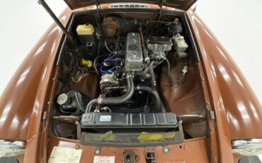 Mg-B-1978-Russet-Brown-Autumn-Leaf-46