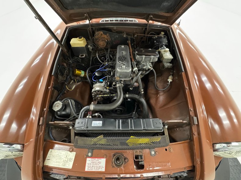 Mg-B-1978-Russet-Brown-Autumn-Leaf-46