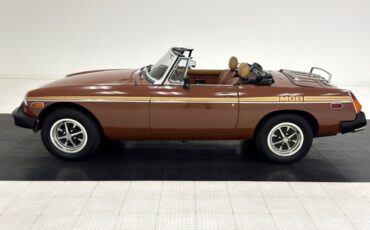 Mg-B-1978-Russet-Brown-Autumn-Leaf-5