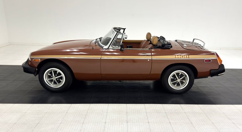 Mg-B-1978-Russet-Brown-Autumn-Leaf-5