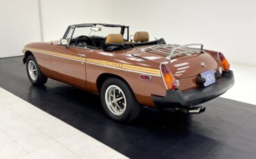 Mg-B-1978-Russet-Brown-Autumn-Leaf-7