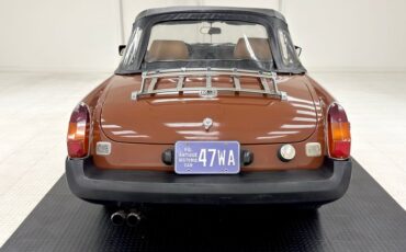 Mg-B-1978-Russet-Brown-Autumn-Leaf-8