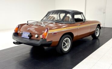 Mg-B-1978-Russet-Brown-Autumn-Leaf-9