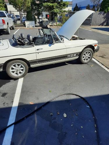Mg-B-1978-WhiteBlack-Black-4