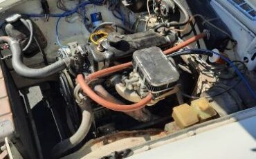 Mg-B-1978-WhiteBlack-Black-8