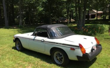 Mg-B-1978-white-4