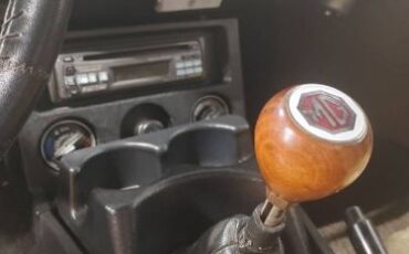 Mg-B-1979-Brown-3